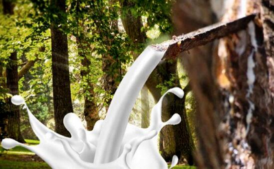 年(nián)産15萬立方米乳膠制(zhì)品項目 環境影(yǐng)響評價信息第二次公示